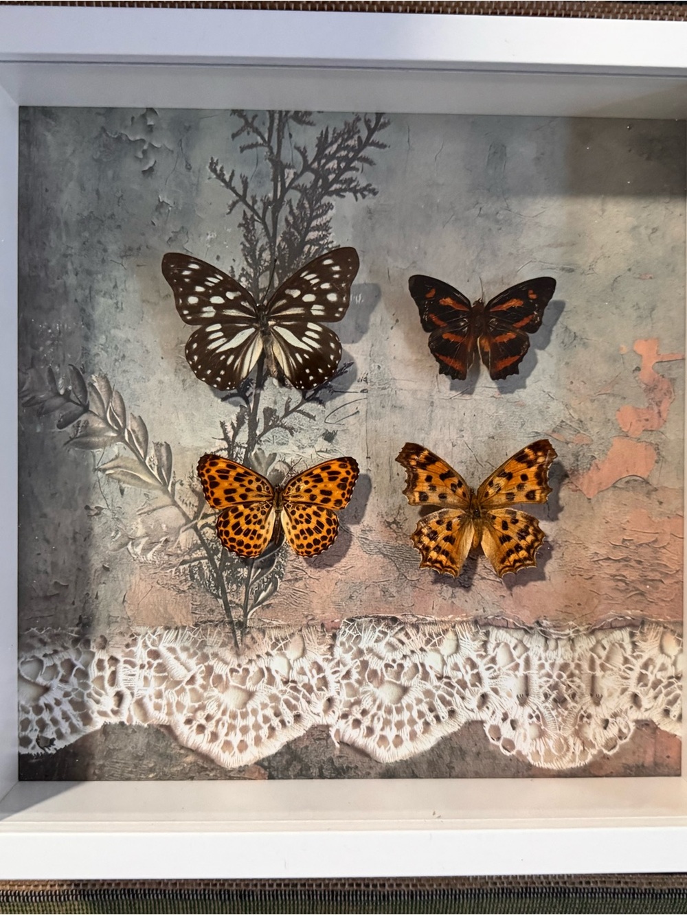 Framed Butterfly Wall Art - Orange and Black